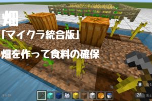 マイクラ統合版 1 16対応 簡単に作れて楽ちん操作 自動釣り機の作り方 ニートから主婦にジョブチェンジ