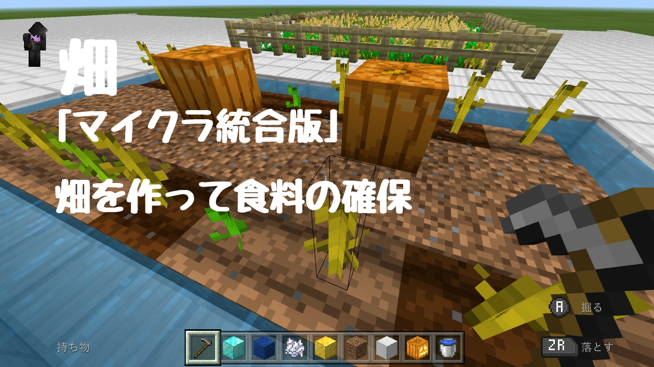 マイクラ 半自動 畑